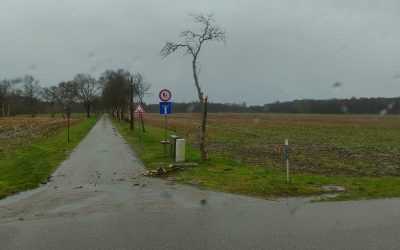 Äste auf der Fahrbahn