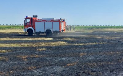 Einsatzstichwort: „Flächenbrand“
