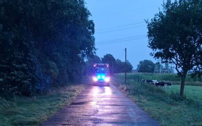Einsatzstichwort: TH_Sturmschaden_klein