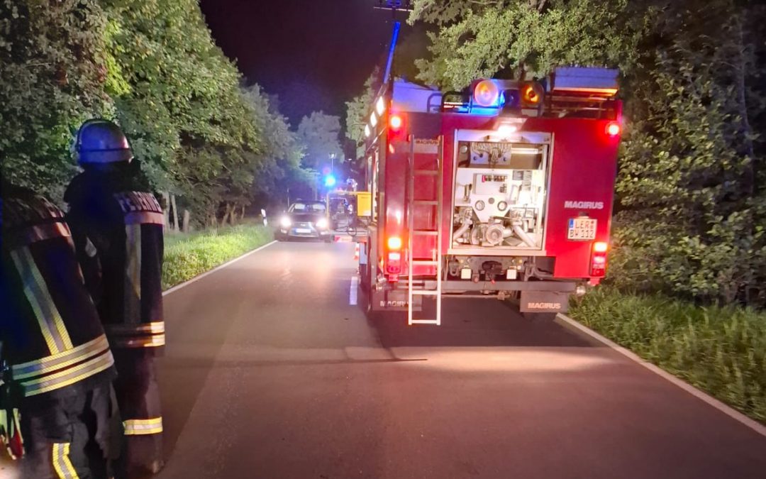 TH – Alarmierung durch Handy E -Call