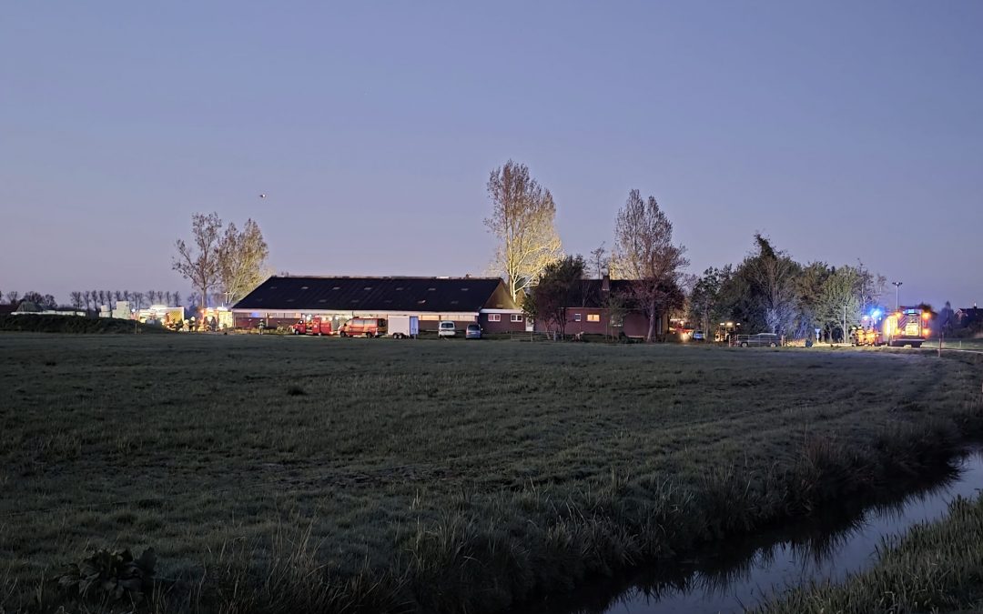 Einsatzstichwort: Unklarer Feuerschein