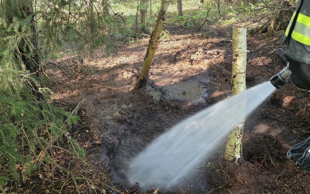 Kleiner Flächenbrand