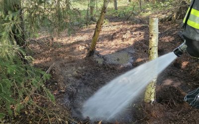 Kleiner Flächenbrand